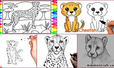 Cheetah Drawing & Sketches For Kids