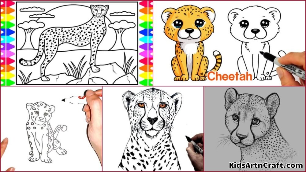 Easy Cheetah Drawing For Kids Cheetah Drawing Sketches For Kids