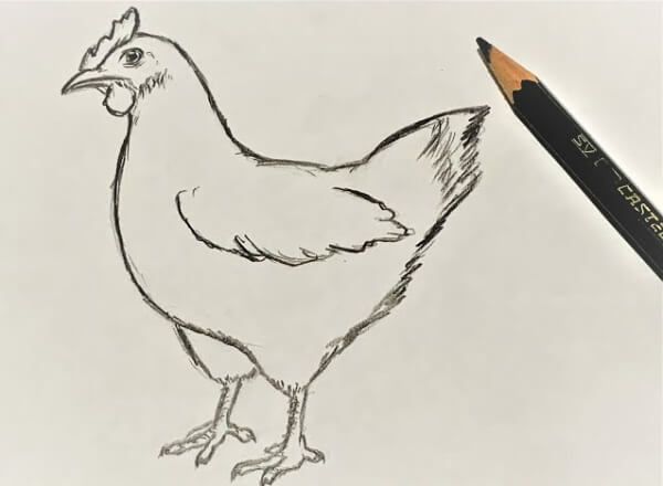 Chicken Drawing & Sketches For Kids Chicken Hen Easy Pencil Drawing For Kids