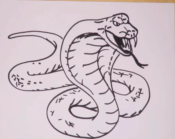 How To Draw Snake Cobra For Kids