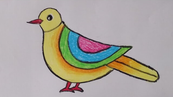 Colorful Bird Drawing For Kids