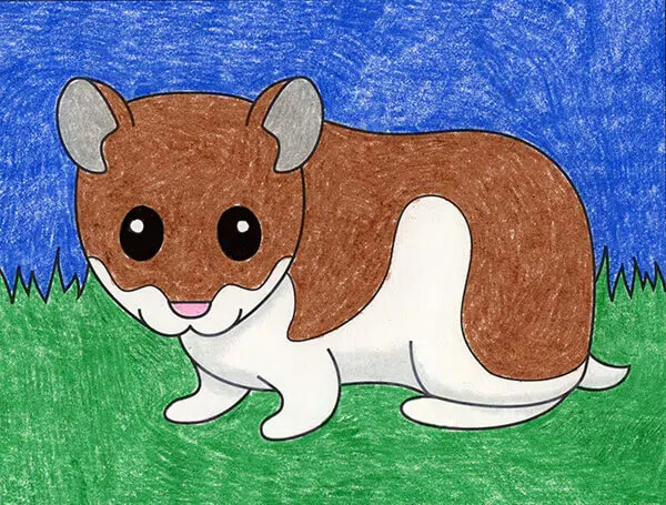 Hamster Drawing & Sketches For Kids How To Draw Hamster Colorful Drawing