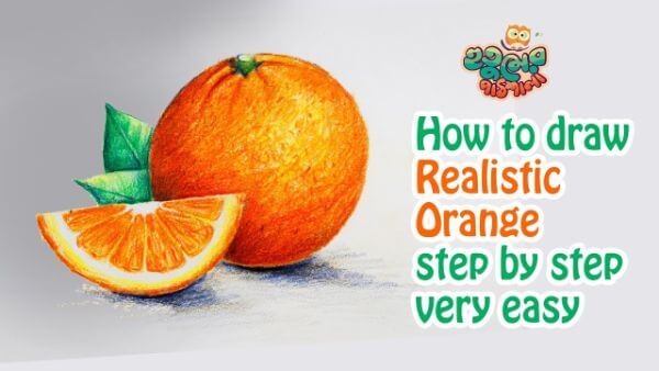 Colorful Realistic Orange Drawing Tutorial Orange Drawing & Sketches for Kids