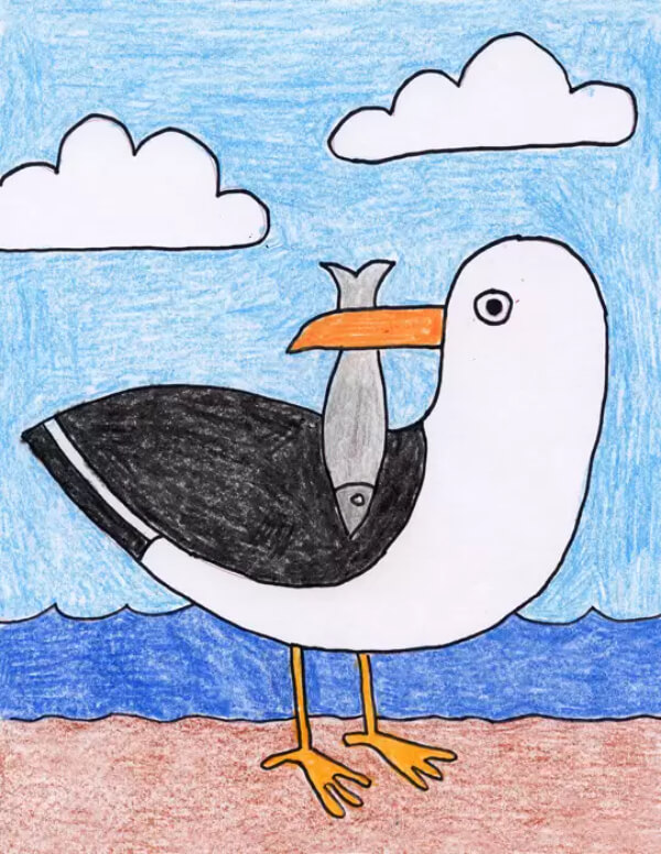 Gull Drawing & Sketches For Kids Colorful Seagull Drawing For Kids