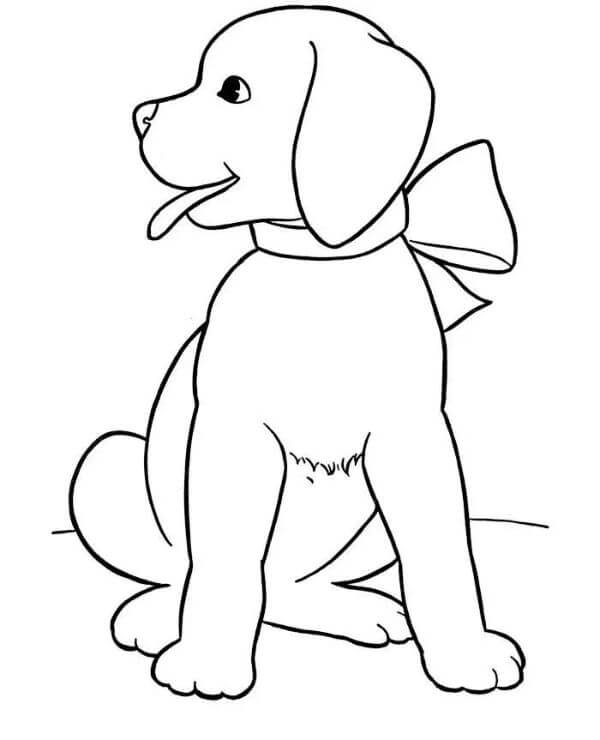 Cool Dog Drawing Coloring Pages