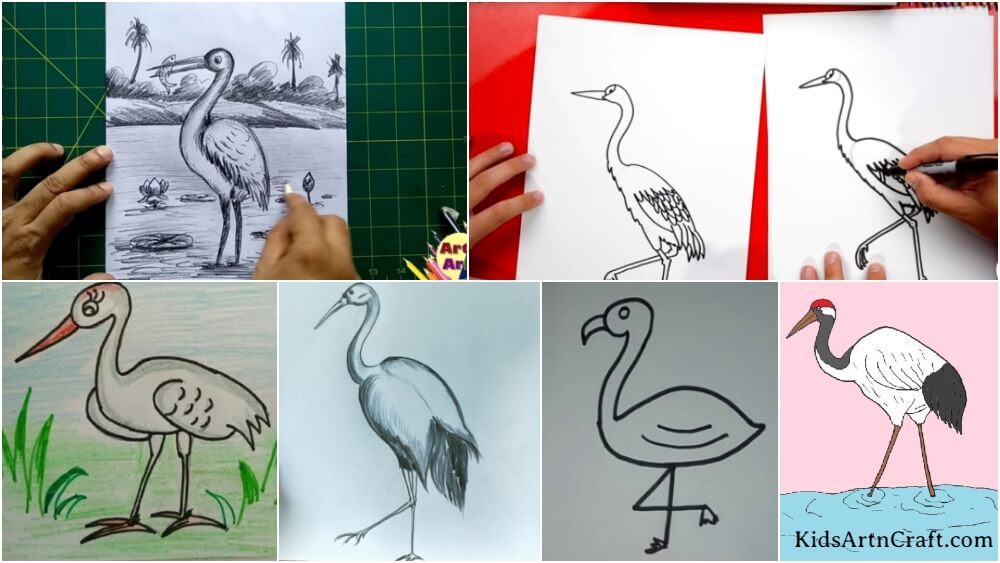 Learn How to Draw a Blue Crane Birds Step by Step  Drawing Tutorials