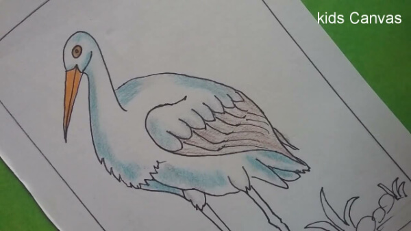 Crane Bird Drawing & Sketches for Kids Crane Bird Drawing Tutorial With Color Pencil