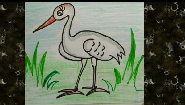 Crane Bird Drawing & Sketches for Kids Crane Bird Drawing With Pencil Colour