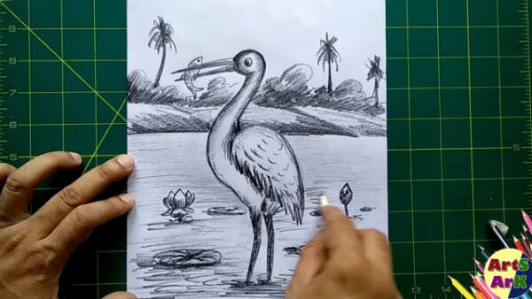 Crane Bird Pencil Sketch Tutorial For Kids
