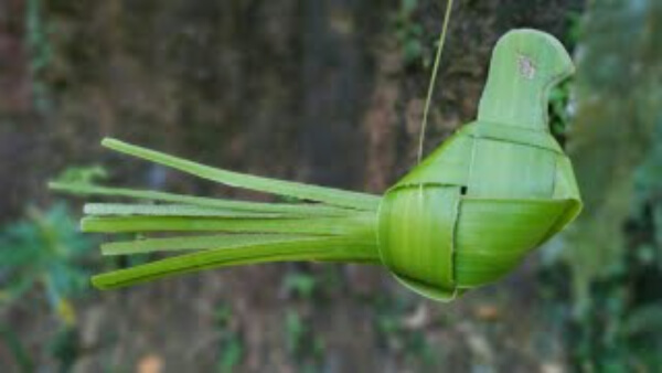 How To Make Parrot With Coconut Leaf