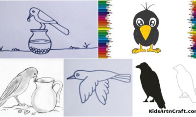 Crow Drawing & Sketches for Kids