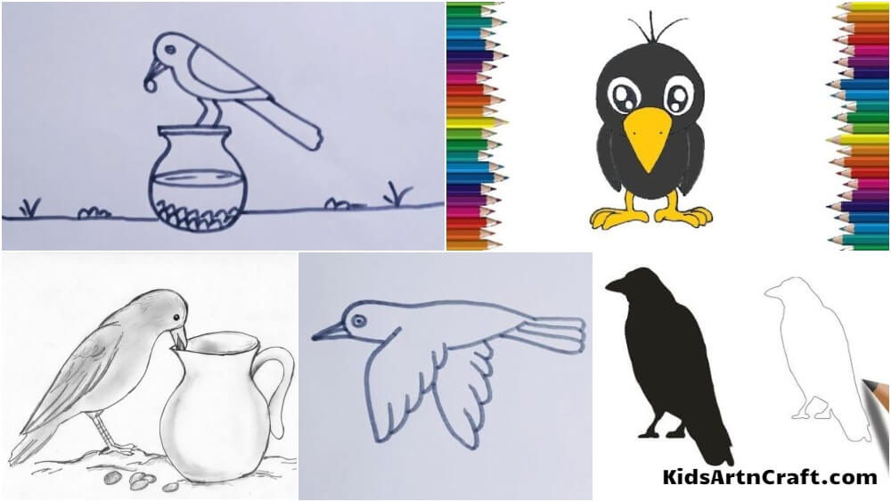 Crow Drawing & Sketches for Kids