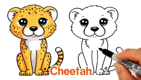 Cute Baby Cheetah Drawing & Sketch For Kids