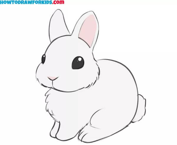 Cute Bunny Drawing & Sketch For Kids