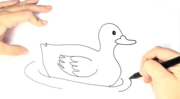 Cute Duck Drawing & Sketch For Kids
