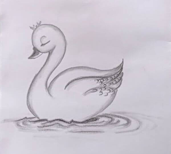 Cute Duck Pencil Sketch For Kids