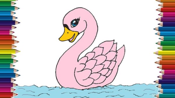 Cute & Easy Swan Drawing Tutorial Sketches For Kids