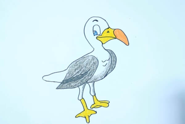 How To Draw Cute Seagull