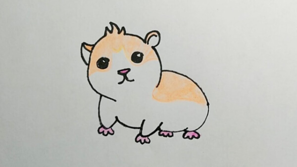 Cute Hamster Drawing For Kids