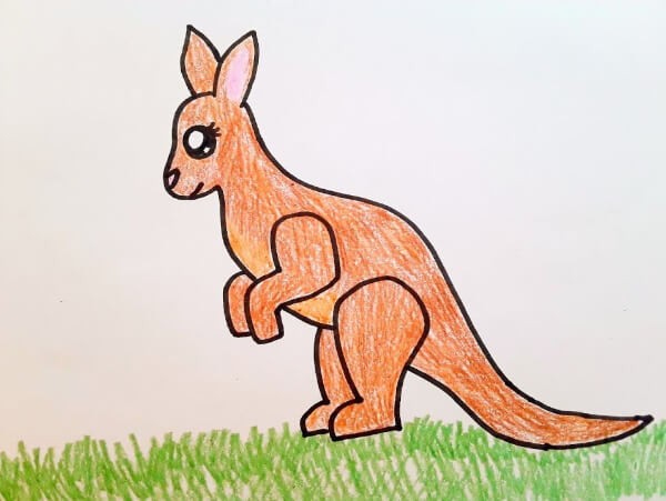 Cute Kangaroo Drawing With Colored Pencil