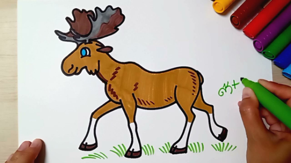 Cute Moose Drawing And Coloring For Kids
