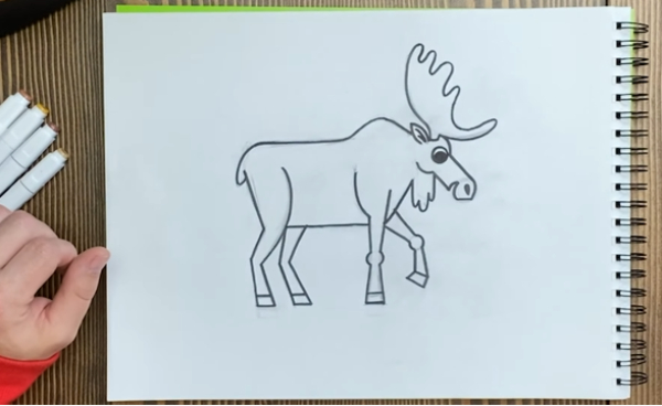 Moose Drawing & Sketches For Kids Cute Moose Drawing Art For Kids