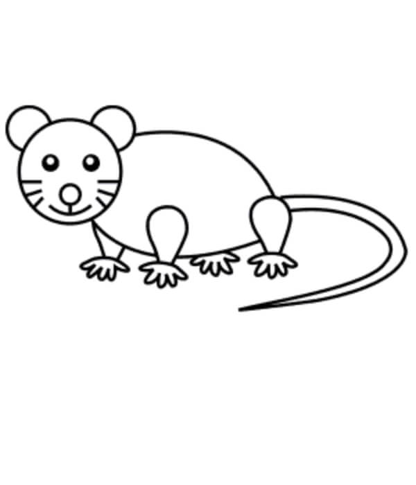 Cute Mouse Drawing For Kids
