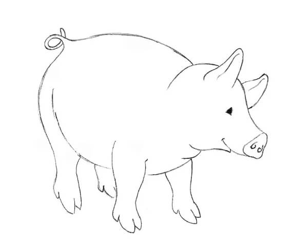 Cute Pig Drawing For Kids