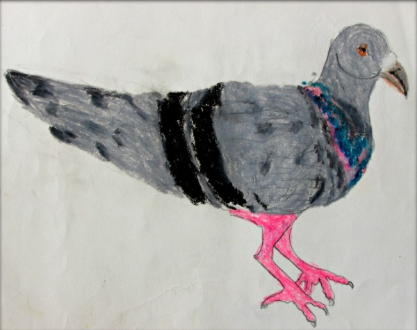 Pigeon Paintings For Kids Cute Pigeon Painting For Kids