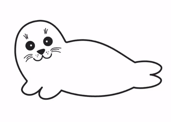 Cute Seal Drawing Step By Step