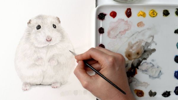 Cute White Hamster Painting Tutorial For Kids