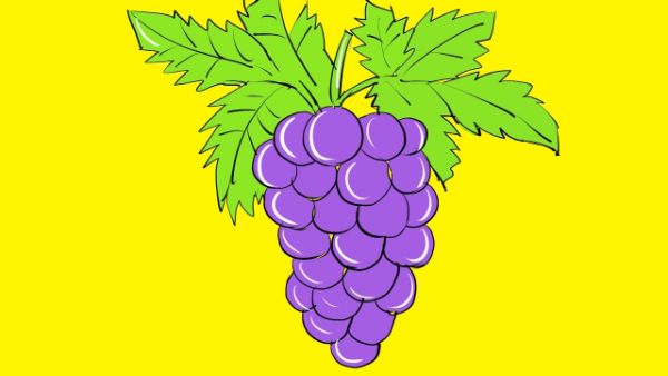 DIY Grape Drawing Tutorials For Kindergarten