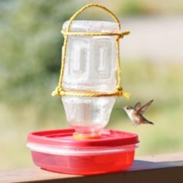 DIY Hummingbird Feeder Ideas