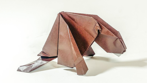 DIY Origami Beaver Craft Instructions