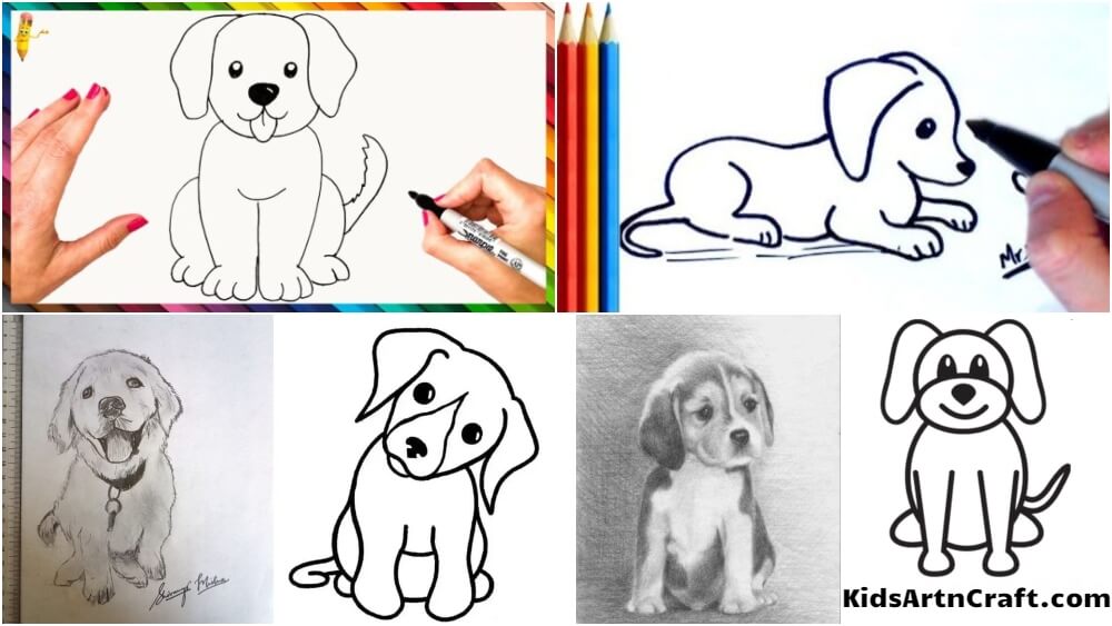 Dog Drawing & Sketches for Kids - Kids Art & Craft