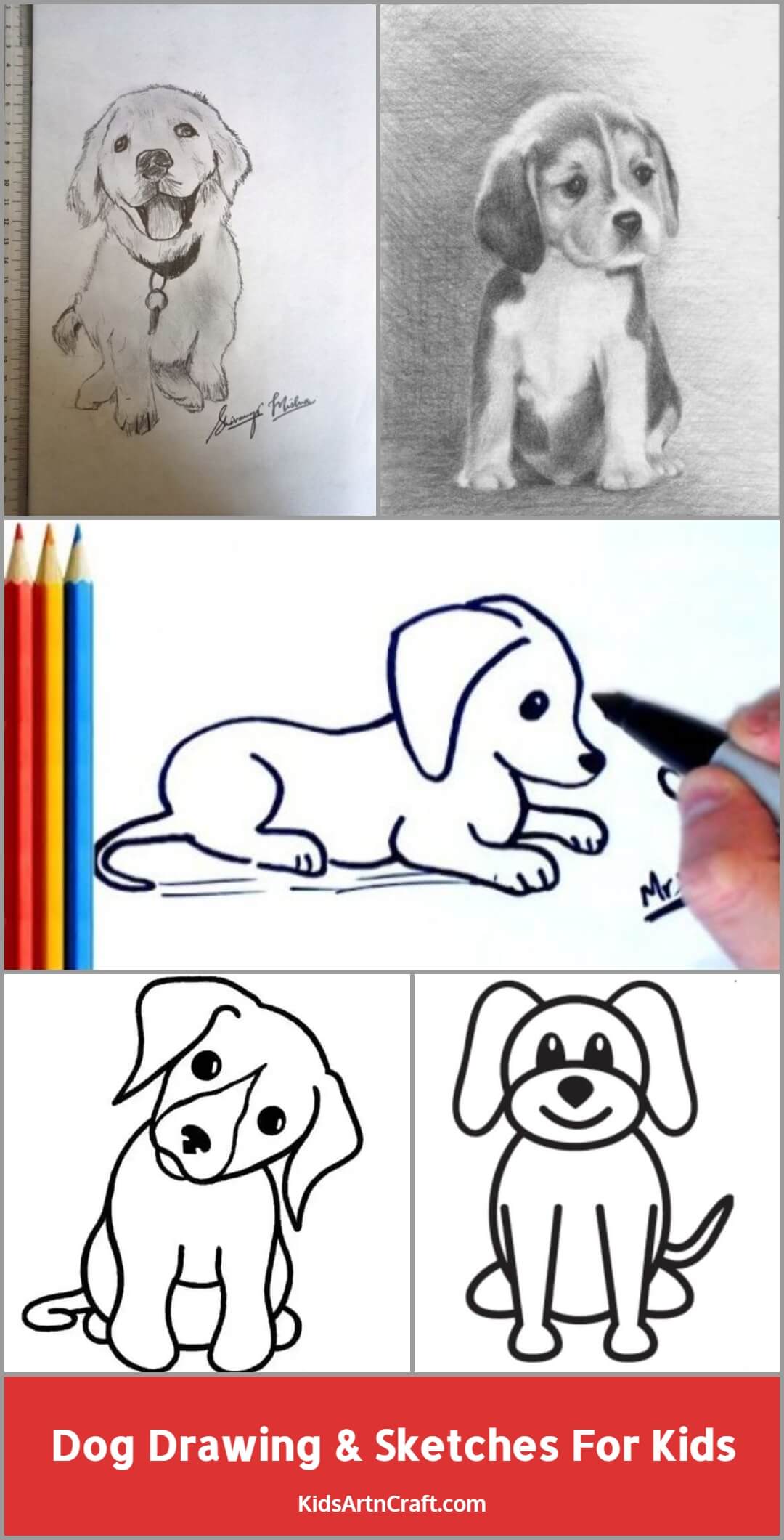 Dog Drawing & Sketches For Kids