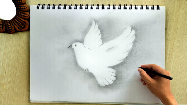 Peace Dove Sketch Drawing Tutorial For Kids