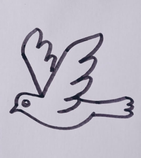 Dove Drawing & Sketches for Kids How To Draw Dove With Letter V