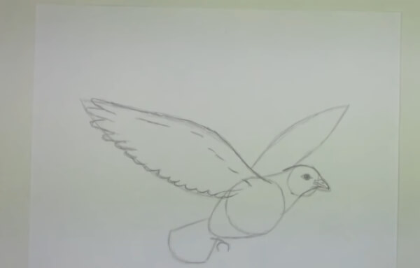 Dove Drawing & Sketches for Kids Dove Pencil Sketch Tutorial For Kids