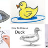 Duck Drawing &  Sketches for Kids