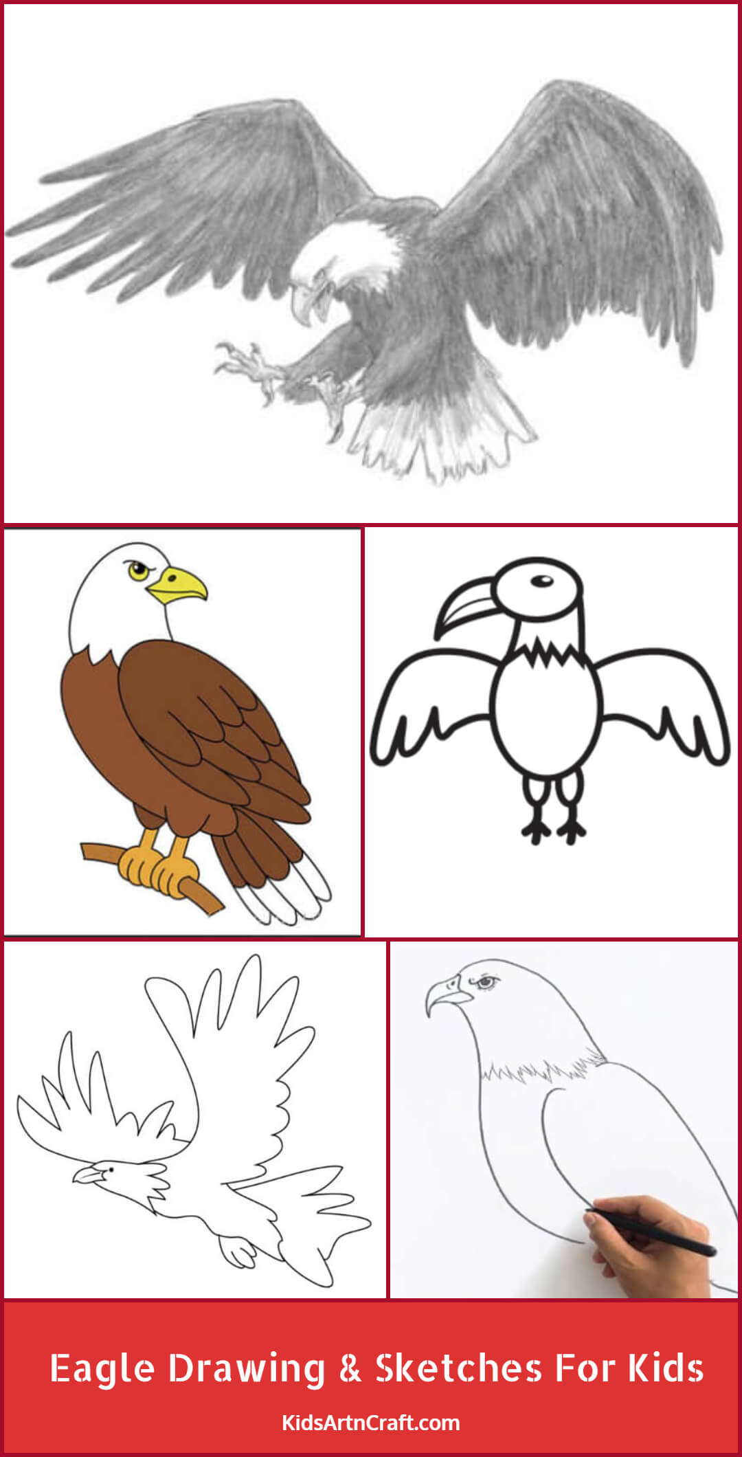 Eagle Drawing & Sketches For Kids