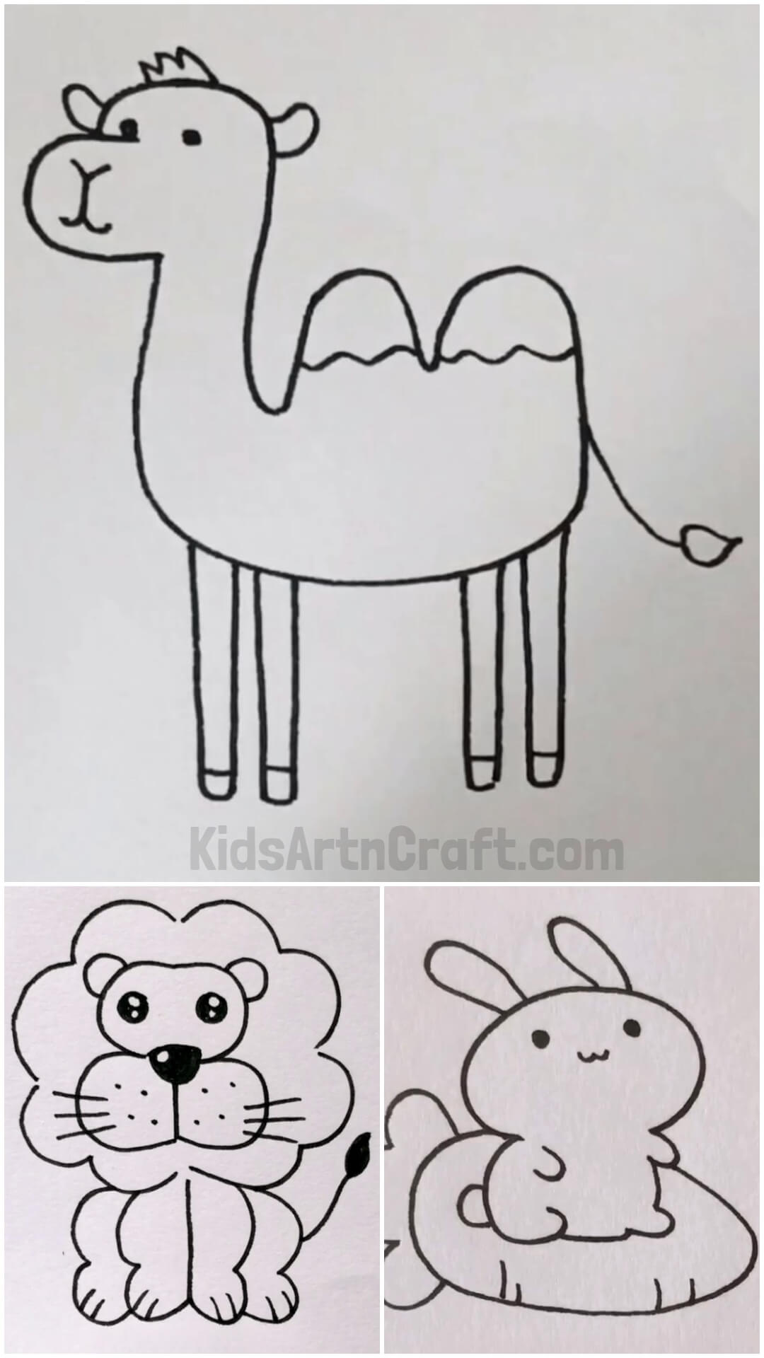 Easy Animal Drawings For Children of Age 4-8 Years