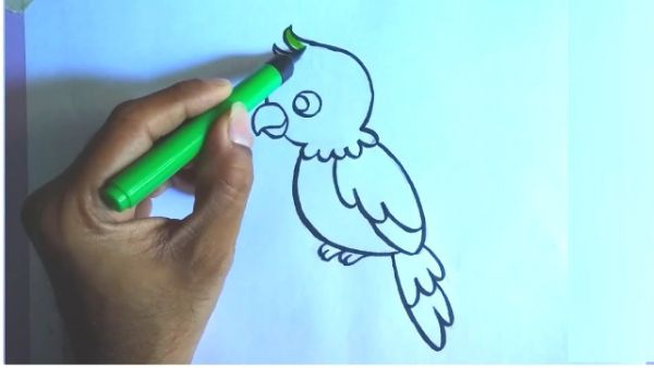 Easy Baby Parrot Cartoon Drawing & Sketches For Kids