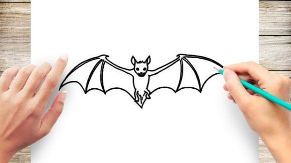 Easy Bat Pencil Drawing For kids