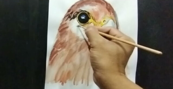 Falcon Paintings For Kids Easy Brown Falcon Painting