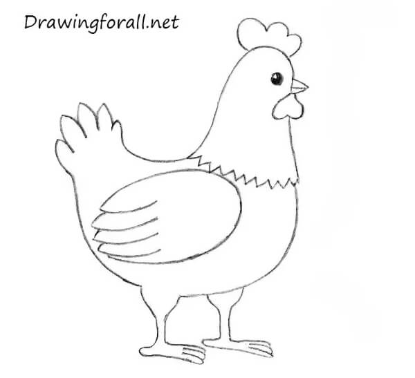 Chicken Drawing Tutorial - How to draw Chicken step by step