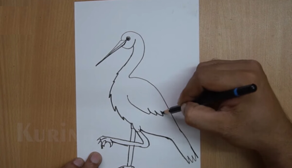 How To Draw A Easy Crane Bird