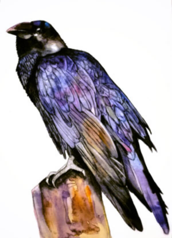 Crow Paintings for Kids Easy Crow Watercolor Painting