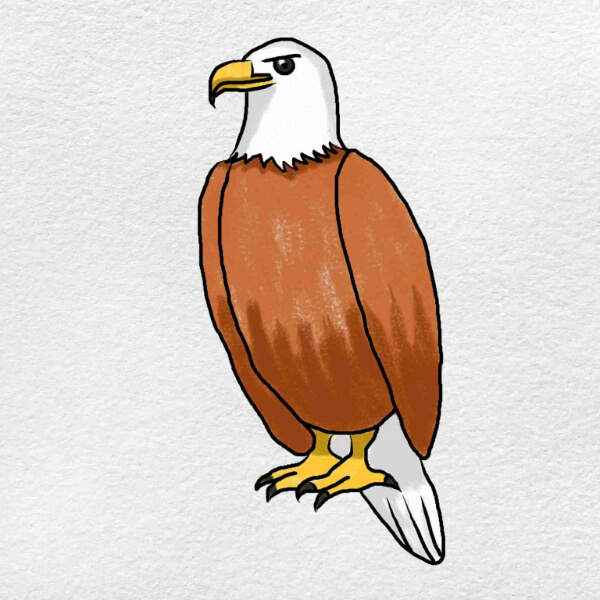 Eagle Drawing & Sketches For Kids Easy Eagle Drawing Step By Step