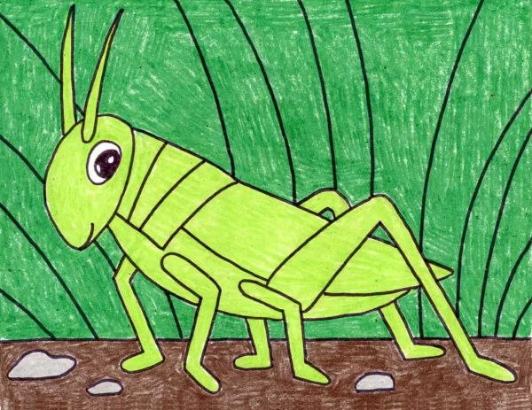 Easy Grasshopper Drawing For Kids